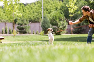 Park 'ta oynayan erkek ve Jack Russell Terrier' ın seçmeli odak noktası 