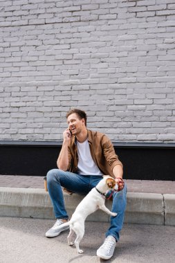 Jack Russell Terrier 'ın yanında akıllı telefondan konuşan genç adam tasmalı. 