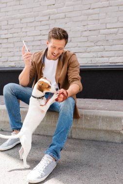 Jack Russell Terrier ile oynayan genç adam, elinde akıllı telefon tutarken... 
