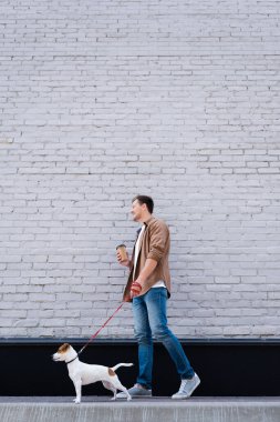 Jack Russell Terrier 'ın tasmasını binanın yakınında gezdirmek için elinde kahve olan adamın alçak açılı görüntüsü.
