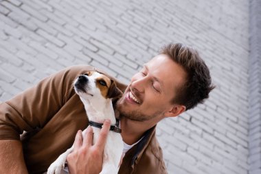 Jack Russell Terrier 'ı kucaklayan genç adamın alçak açılı görüntüsü