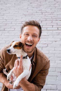 Jack Russell Terrier 'ı binanın ön cephesinde kucaklarken kameraya bakan genç adam 