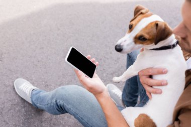 Beyaz ekranlı akıllı telefonu tutan ve Jack Russell Terrier 'ı kucaklayan adamın seçici odak noktası.