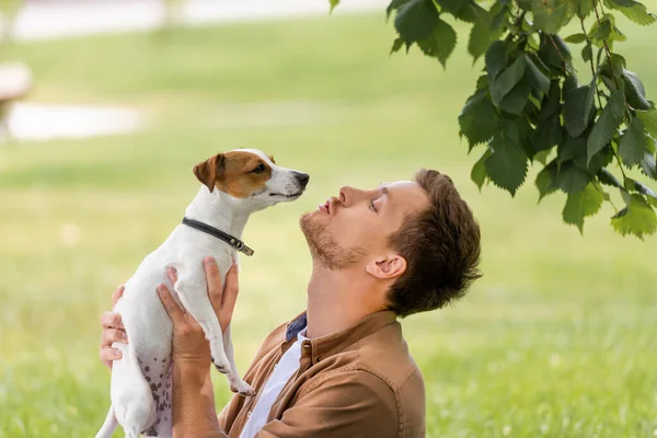 Beyaz Jack Russell Terrier köpeği tutan kafasında kahverengi lekeler olan genç adamın yan görüntüsü.