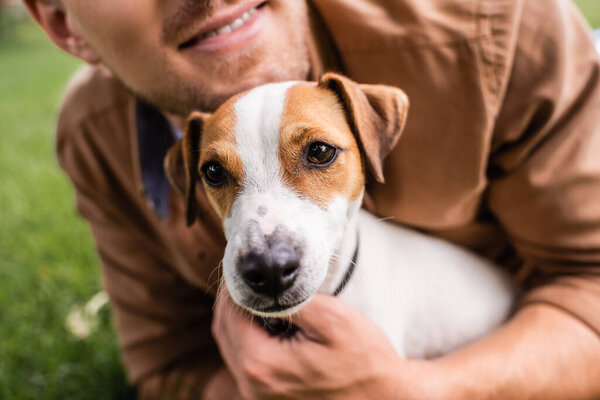 cropped view of man cuddling jack russell terrier dog while lying on green grass