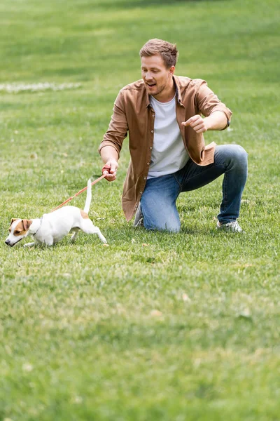 Joven Ropa Casual Divertirse Con Jack Russell Terrier Perro Verde — Foto de Stock