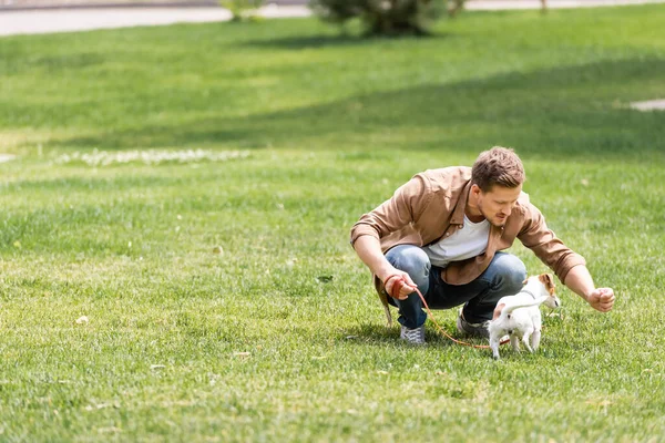 Jack Russell Terrier ile parkta oynayan genç adamın seçici odak noktası
