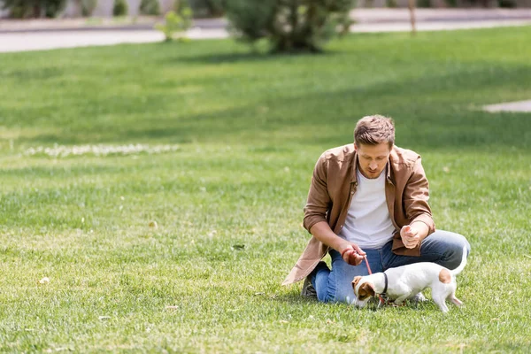 Selective Focus Young Man Looking Jack Russell Terrier Leash Park — Stock Photo, Image