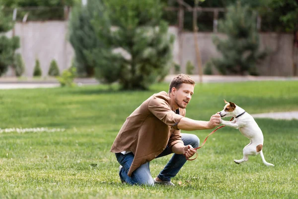 Çimenli çimlerde Jack Russell Terrier ile oynayan genç adamın seçici odak noktası 