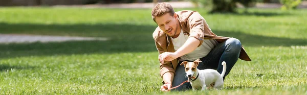 Panoramaaufnahme Eines Mannes Der Neben Jack Russell Terrier Auf Rasen — Stockfoto