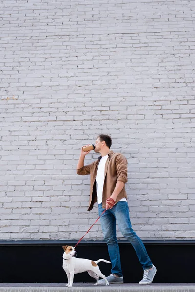若いです男飲むコーヒーへ行きながら歩くジャックRussell TerrierオンLeth近くの建物 — ストック写真