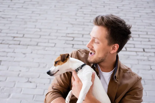 Low Angle View Excited Man Holding Jack Russell Terrier Facade — Stock Photo, Image