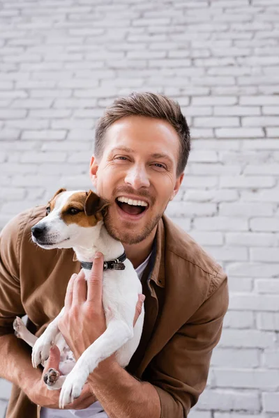 Junger Mann Blickt Kamera Während Jack Russell Terrier Nahe Hausfassade — Stockfoto