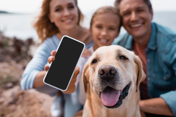 Selective Focus Woman Holding Smartphone Blank Screen Family Golden Retriever — Stock Photo, Image