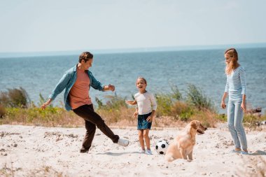 Kızıyla futbol oynayan adamın seçici odak noktası. Eşi ve Golden Retriever sahilde. 