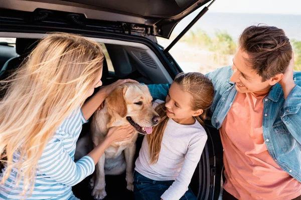 Selective Focus Family Looking Golden Retriever Car Truck Outdoors — Stock Photo, Image