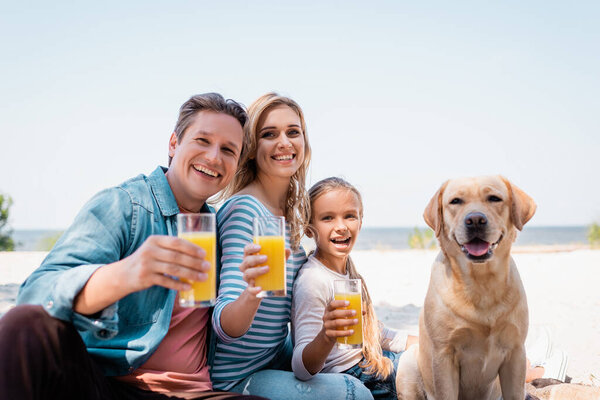 Selective focus of family looking at camera while holding glasses of orange juice near golden retriever on beach 