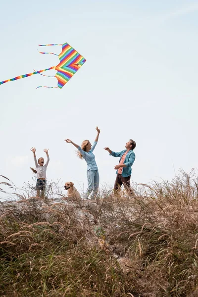 Selective Focus Family Golden Retriever Kite Standing Grassy Hill — Stock Photo, Image