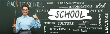 panoramic crop of teacher with pointing stick showing thumb up near chalkboard with lettering in classroom  clipart