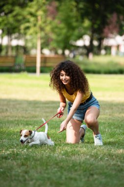 Genç bir kadının Jack Russell Terrier köpeğini dizginlemesinin seçici odak noktası