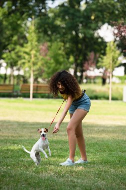 Genç bir kadının Jack Russell Terrier köpeğini dizginlemesinin seçici odak noktası 