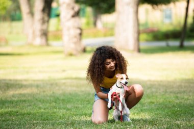 Jack Russell Terrier köpeğini tutan ve ona bakan genç bir kadının seçici odak noktası.