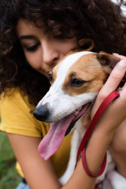 Köpeği tutan genç kadının yakın görüntüsü
