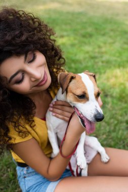 Çimenlerde oturan ve köpeğe bakan genç bir kadının yüksek açılı görüntüsü