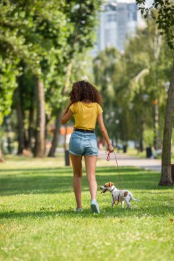 Back view of young woman walking with jack russell terrier dog