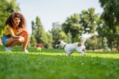 Genç bir kadının köpeğe baktığı seçici bir odak noktası.