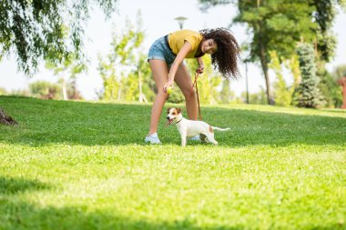 Jack Russell Terrier köpeği olan genç bir kadının seçmeli odak noktası.