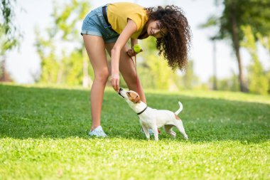 Genç bir kadının köpeğe dokunması ve tenis topu tutması.