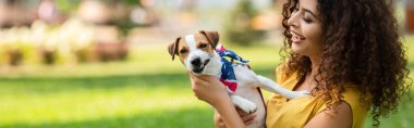 Jack Russell Terrier köpeğini tutan ve ona bakan genç bir kadının yatay mahsulü.