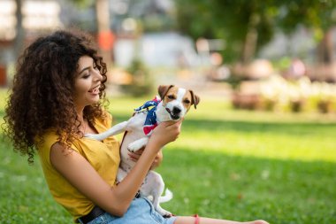 Jack Russell Terrier 'ı parkta tutan neşeli kadının seçici odağı.