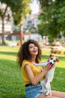 Jack Russell Terrier köpeğiyle heyecanlı kadının seçici odağı kameraya bakıyor.