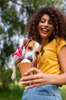 Heyecanlı bir kadının dondurma yalarken köpeğe bakmasının seçici odağı.