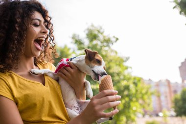 Selective focus of young woman with open moth looking at dog licking ice cream clipart