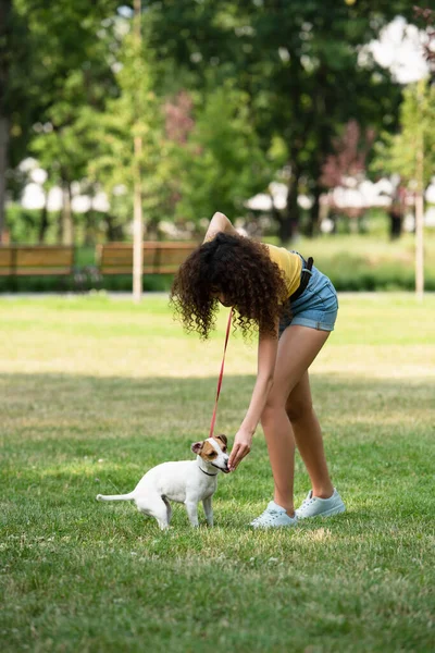 Foco Seletivo Jovem Mulher Alimentando Jack Russell Terrier Dog — Fotografia de Stock