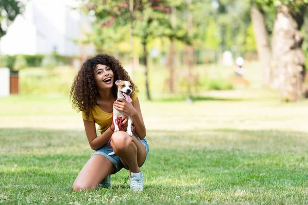 Selective Focus Young Woman Holding Dog Looking Camera — Stock Photo, Image