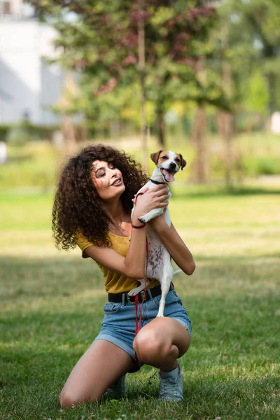 Foco Seletivo Mulher Jovem Mostrando Jack Russell Cão Terrier Câmera — Fotografia de Stock