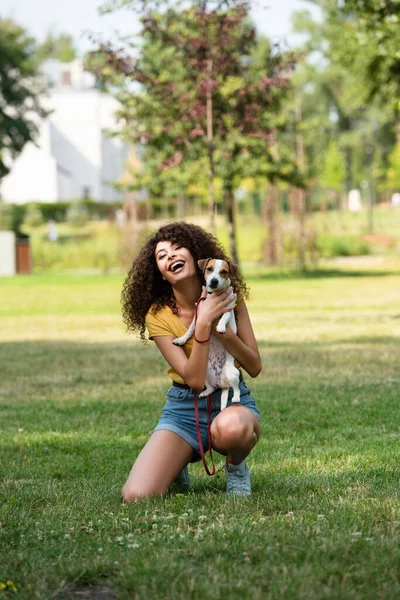 Selective Focus Young Woman Holding Jack Russell Terrier Dog Laughing — Stock Photo, Image