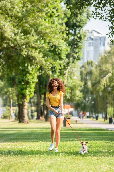 Selektivt Fokus Upphetsad Kvinna Promenader Med Jack Russell Terrier Hund — Stockfoto