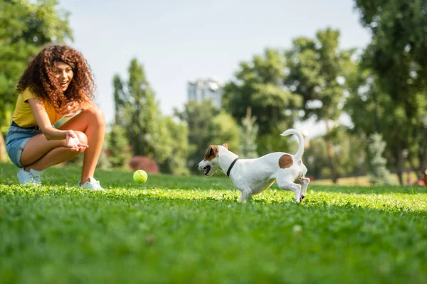 Fokus Selektif Wanita Muda Bermain Dan Melihat Anjing — Stok Foto