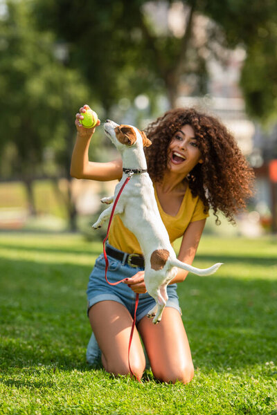Selective focus of excited woman playing tennis ball with dog