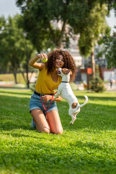 若いです女性保持テニスボールとジャンプ犬を見ての選択的な焦点 — ストック写真