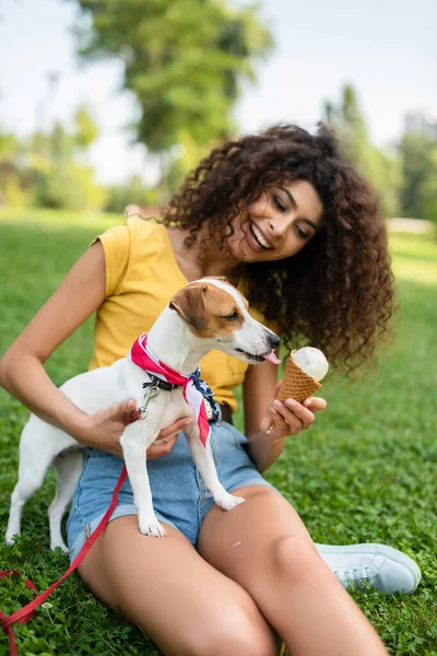 Selective Focus Young Woman Holding Dog Giving Ice Cream — Stock Photo, Image