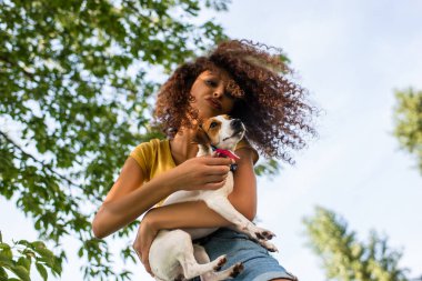 Kıvırcık kadının Jack Russell Terrier köpeğini tutuşu ve mavi gökyüzüne ve dallara karşı ördek suratı yapışı.