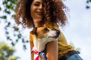 Jack Russell Terrier köpeğini tutan neşeli, kıvırcık kadının düşük açılı görüntüsü