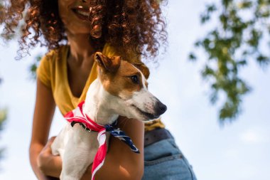 Kıvırcık bir kadının mavi gökyüzüne karşı Jack Russell Terrier köpeği tutuşu görüntüsü.