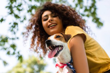 Heyecanlı, kıvırcık kadının Jack Russell Terrier köpeğini tuttuğu seçici odak noktası, düşük açı.